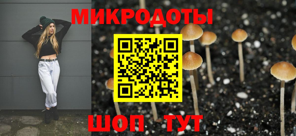 купить   Вход с VPN  Дюртюли  Галлюциногенные грибы GOLDEN TEACHER 